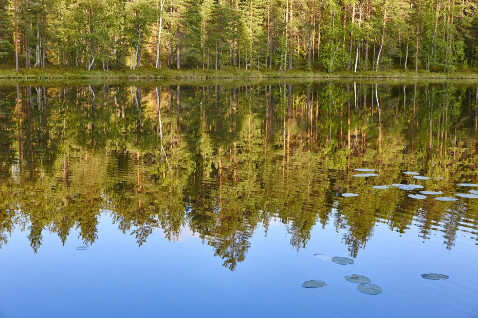 Sipoon järvi- ja metsämaisema.